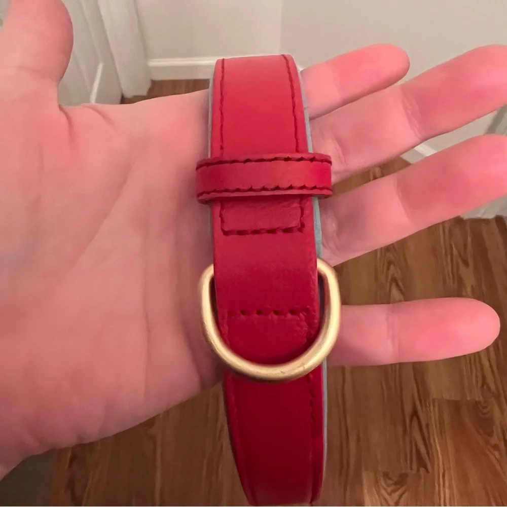 Bright Red Padded Dog Collar
